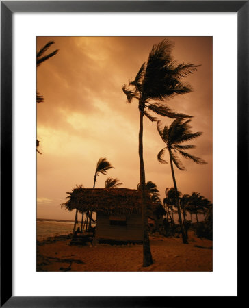 A Storm Ravages The Palm Trees And Huts On Glovers Reef by Bill Hatcher Pricing Limited Edition Print image