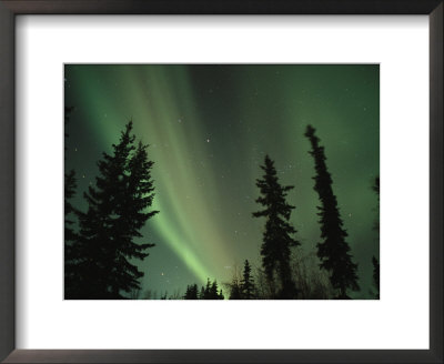 The Northern Lights Illuminate The Evening Sky Over North Pole by Maria Stenzel Pricing Limited Edition Print image
