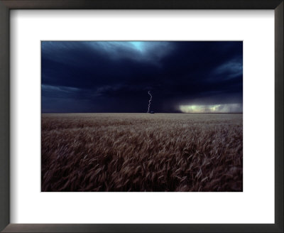 Lightning Flashes Above A Kansas Wheat Field by Cotton Coulson Pricing Limited Edition Print image