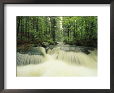 Waterfall Time Exposure, Bayerischer Wald National Park, Germany by Norbert Rosing Pricing Limited Edition Print image