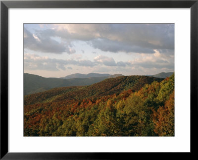 Earling Morning Landscape, Little Switzerland, Blue Ridge Parkway, Usa by James Green Pricing Limited Edition Print image