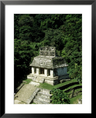 Palenque Mayan Ruins, Chiapas, Mexico by Paul Franklin Pricing Limited Edition Print image