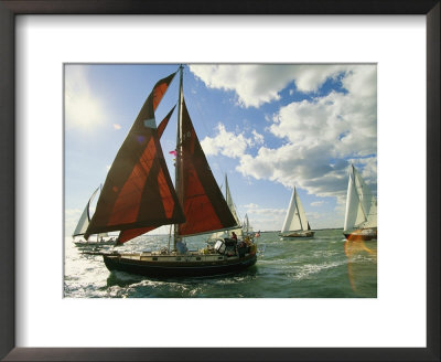 Red-Sailed Sailboat And Others In A Race On The Chesapeake Bay by Skip Brown Pricing Limited Edition Print image