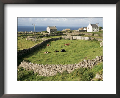 Walled Fields, Inishmore, Aran Islands, County Galway, Connacht, Eire (Republic Of Ireland) by Ken Gillham Pricing Limited Edition Print image