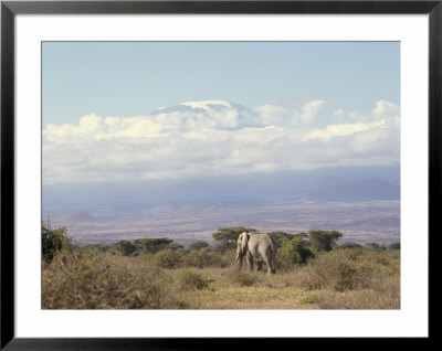 Amboseli Game Reserve And Mount Kilimanjaro, Kenya, East Africa, Africa by Storm Stanley Pricing Limited Edition Print image