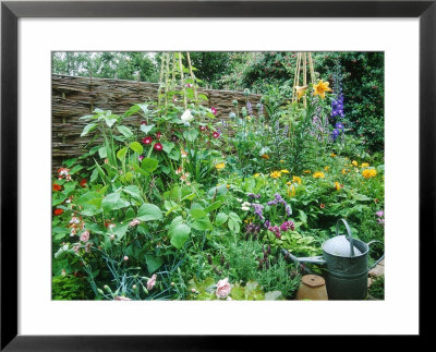 Woven Screen At Back Of Cottage Style Border Bob Purnell's Garden by Mark Bolton Pricing Limited Edition Print image