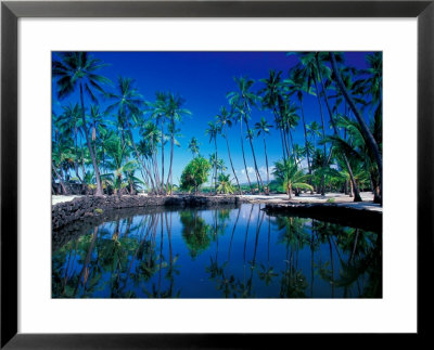 Hawaii, Usa by Walter Bibikow Pricing Limited Edition Print image