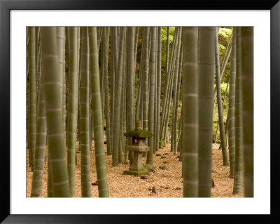 Stone Lantern, Bamboo Forest, Kamakura City, Kanagawa Prefecture, Honshu Island, Japan by Christian Kober Pricing Limited Edition Print image