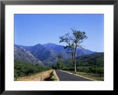 Mount Canigou, Pyrenees-Orientale, Languedoc Roussillon, France by David Hughes Pricing Limited Edition Print image
