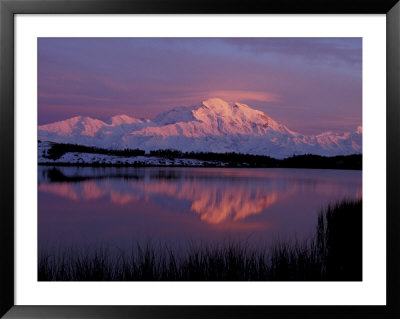 Mt. Mckinley Reflected In Pond, Denali National Park, Alaska, Usa by Hugh Rose Pricing Limited Edition Print image