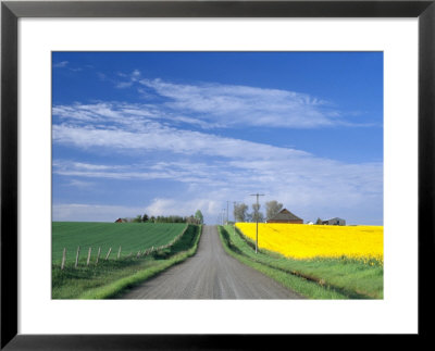 Road Running Through Canola And Wheat Fields, Grangeville, Idaho, Usa by Terry Eggers Pricing Limited Edition Print image