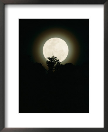 Moonrise In Parc Des Volcans by Michael Nichols Pricing Limited Edition Print image
