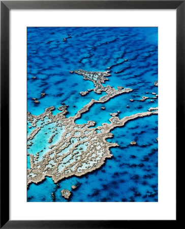 Hardy Reef, Near Whitsunday Islands, Great Barrier Reef, Queensland, Australia by Holger Leue Pricing Limited Edition Print image