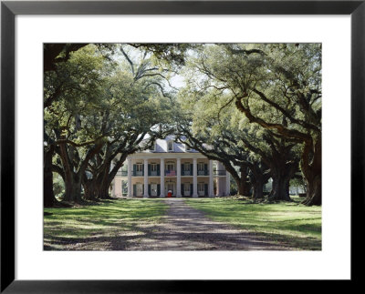 Exterior Of Plantation Home, Oak Alley, New Orleans, Louisiana, Usa by Adina Tovy Pricing Limited Edition Print image