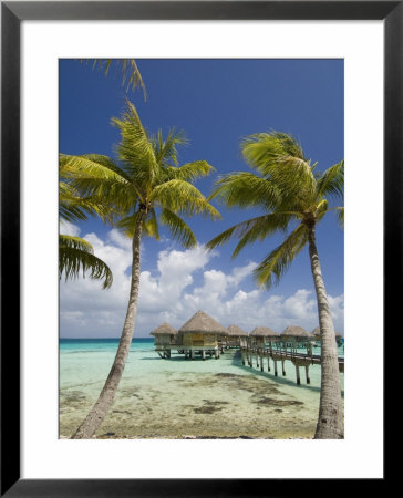 Pearl Beach Resort, Tikehau, Tuamotu Archipelago, French Polynesia Islands by Sergio Pitamitz Pricing Limited Edition Print image