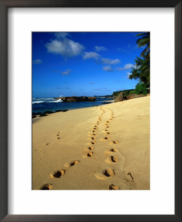 Footprints In The Sand On The North Shore, Oahu, Hawaii, Usa by Ann Cecil Pricing Limited Edition Print image