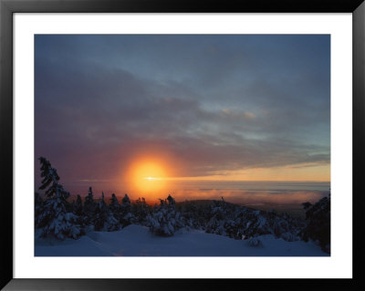 Winter Twilight View, Harz/Hochharz National Park, Germany by Norbert Rosing Pricing Limited Edition Print image