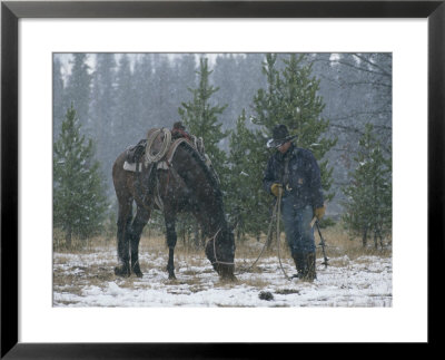 Snow Falls On An Outfitter Grazing His Tacked Horse by Annie Griffiths Belt Pricing Limited Edition Print image