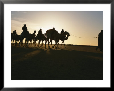 Trans-Sahara Desert Camel Expedition by Peter Carsten Pricing Limited Edition Print image