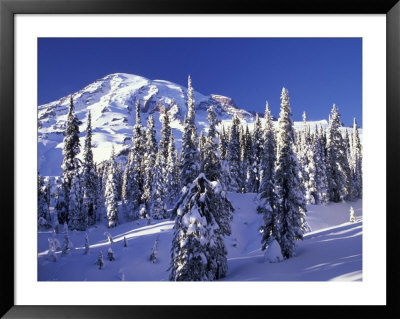 Mount Rainier After A Winter Storm, Mt. Rainier National Park, Washington, Usa by Jamie & Judy Wild Pricing Limited Edition Print image