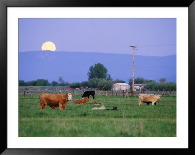 Farm Scene West Of Chiloguin, Oregon by Phil Schermeister Pricing Limited Edition Print image