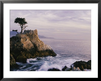 Lone Cypress Tree On A Rocky Point Near Pebble Beach by Mark Cosslett Pricing Limited Edition Print image