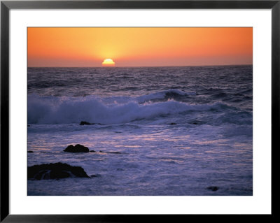 California Sunset by Paul Nicklen Pricing Limited Edition Print image