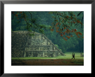 A Monkey Who Lives At The Site Walks Past A Mayan Ruin At Copan by Kenneth Garrett Pricing Limited Edition Print image