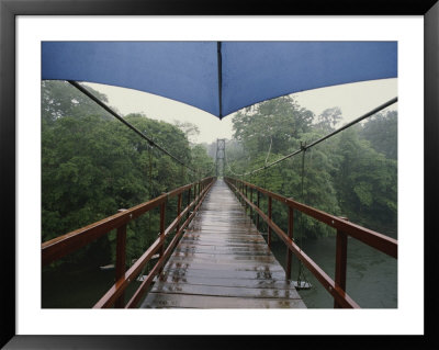 Footbridge Through Rain Forest, Costa Rica by Michael Melford Pricing Limited Edition Print image