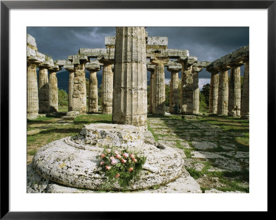 The Doric Columns Of The Greek Temple Dedicated To Hera At Paestum by Sisse Brimberg Pricing Limited Edition Print image