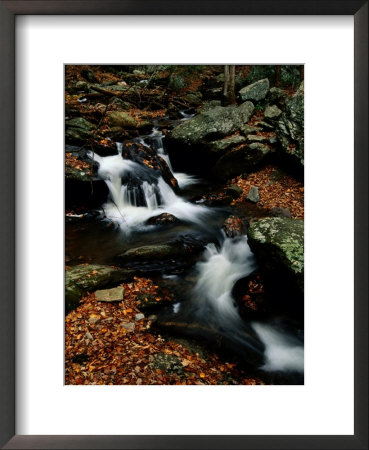 Scenic View Of A Waterfall On Smith Creek by Raymond Gehman Pricing Limited Edition Print image