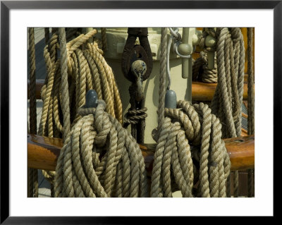 Coiled Ropes Hanging On An Old Wooden Ship by Todd Gipstein Pricing Limited Edition Print image
