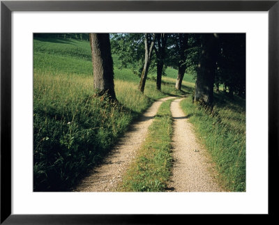 Country Road, Basel-Land, Switzerland by David Barnes Pricing Limited Edition Print image