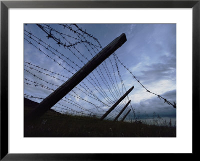 The Remains Of A Barbed Wire Fence That Surrounded A Concentration Camp For Political Prisoners by Steve Raymer Pricing Limited Edition Print image
