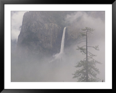Mist Shrouds Bridalveil Fall In Yosemite by Phil Schermeister Pricing Limited Edition Print image