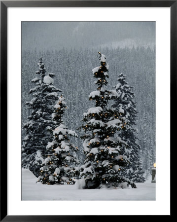 Fresh Snowfall At The Chateau Lake Louise by Richard Nowitz Pricing Limited Edition Print image