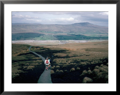 Land Boardwalk Laid To Prevent Path Erosion, Yorkshire Dales, England, United Kingdom by Jennifer Fry Pricing Limited Edition Print image