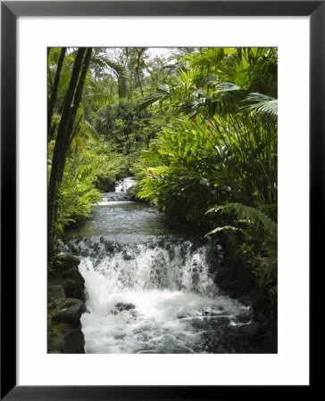 Tabacon Hot Springs, Volcanic Hot Springs Fed From The Arenal Volcano, Arenal, Costa Rica by R H Productions Pricing Limited Edition Print image