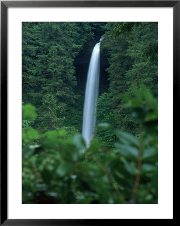 Silver Falls State Park, Or by Donald Higgs Pricing Limited Edition Print image