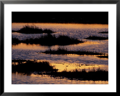 Great Bay At Sunset, New Hampshire, Usa by Jerry & Marcy Monkman Pricing Limited Edition Print image