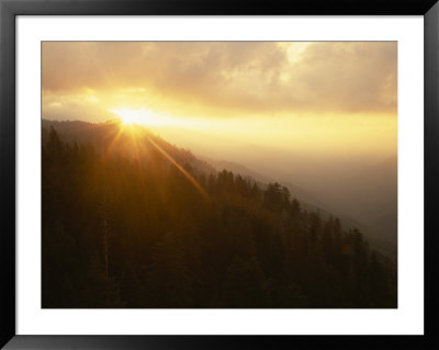 Sunburst In Mt. Rainier National Park, Washington, Usa by Jerry Ginsberg Pricing Limited Edition Print image