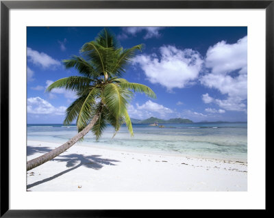 Leaning Palm Tree And Beach, Anse Severe, Island Of La Digue, Seychelles, Indian Ocean, Africa by Lee Frost Pricing Limited Edition Print image