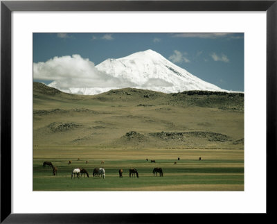 Mount Ararat, Anatolia, Turkey, Eurasia by Christina Gascoigne Pricing Limited Edition Print image