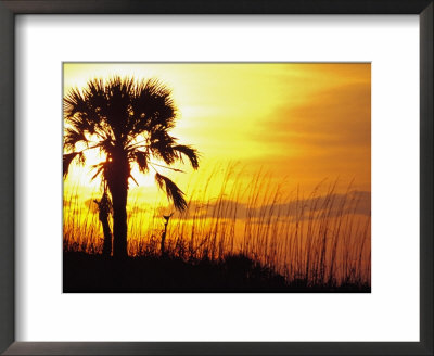 Sunset Near Folley Beach, Charleston, South Carolina, Usa by Julie Eggers Pricing Limited Edition Print image