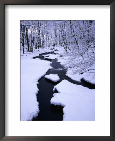 Snow Almost Covering Skaran Creek, Sodersen National Park, Sweden by Anders Blomqvist Pricing Limited Edition Print image