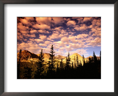 Peaks And Sky From Diamond Lake Trail, Indian Peaks Wilderness, Colorado by Witold Skrypczak Pricing Limited Edition Print image