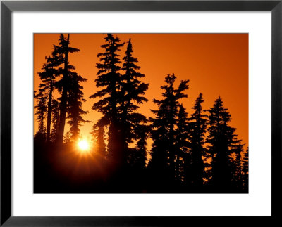 Orange Sunset In The Wilderness Around Mt. Jefferson, Oregon Cascades, Usa by Janis Miglavs Pricing Limited Edition Print image