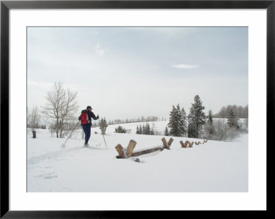 Backcountry Skier In Bear River Range, Wasatch-Cache National Forest, Utah, Usa by Scott T. Smith Pricing Limited Edition Print image