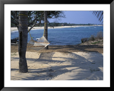 Beach Hammock, Punta Mita, Puerto Vallarta, Mexico by Judith Haden Pricing Limited Edition Print image