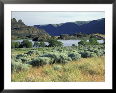 Alkali Lake In The Lower Grand Coulee, Coulee City, Washington, Usa by Jamie & Judy Wild Pricing Limited Edition Print image
